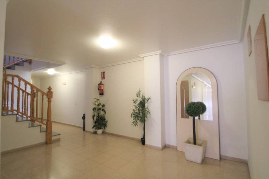 Verkauf - Apartment - Centro - Los Montesinos