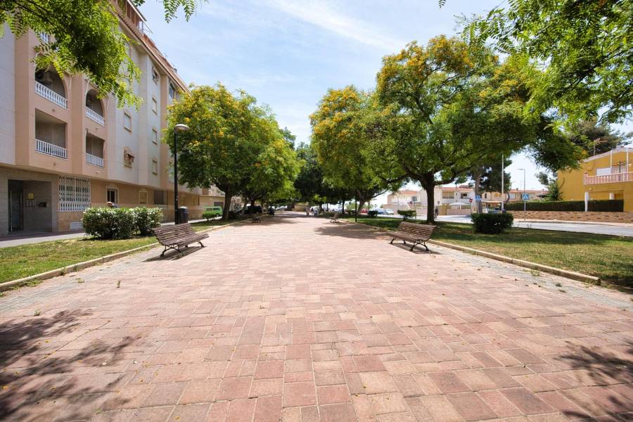 Salg - Leilighet - Acequion - Torrevieja