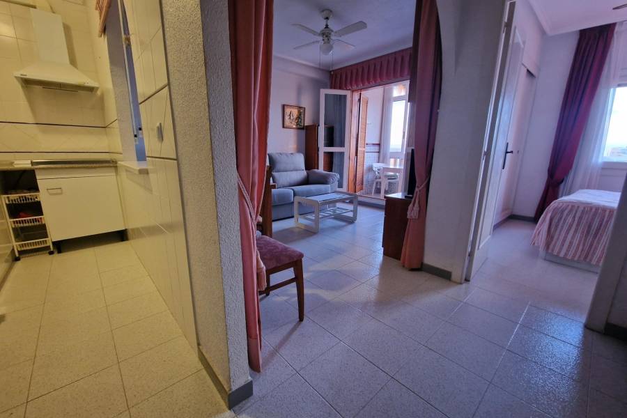 Venta - Apartamento - torrevieja - Torrevieja