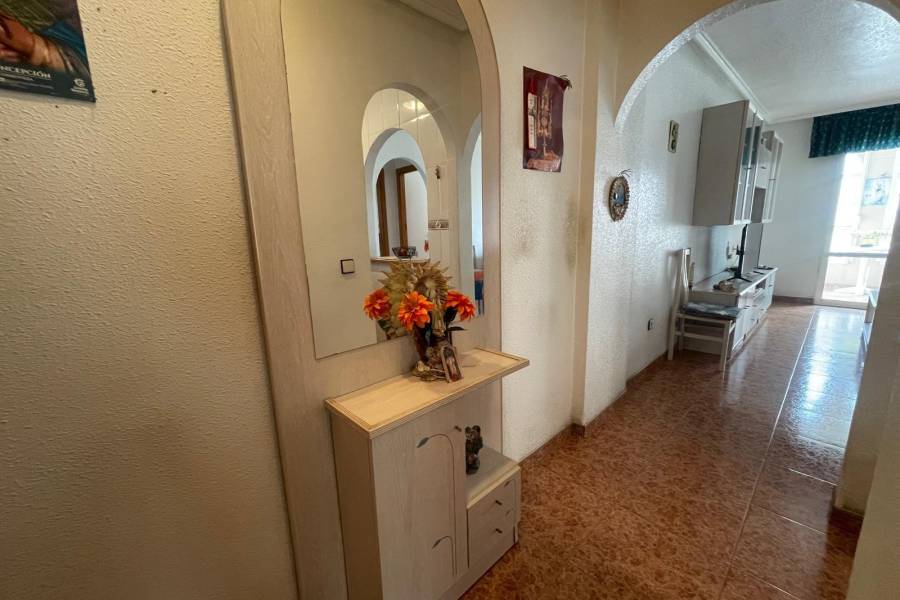 Vente - Appartement - Parque las naciones - Torrevieja