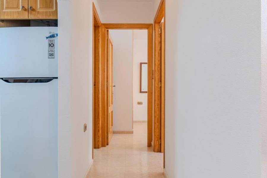 Vente - Appartement - Centro - Torrevieja