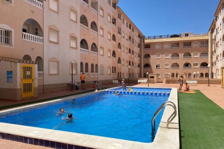 Verkauf - Apartment - Centro - Torrevieja
