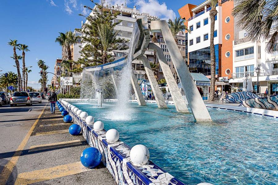 Verkauf - Einfamilienhaus - Aguas Nuevas - Torrevieja