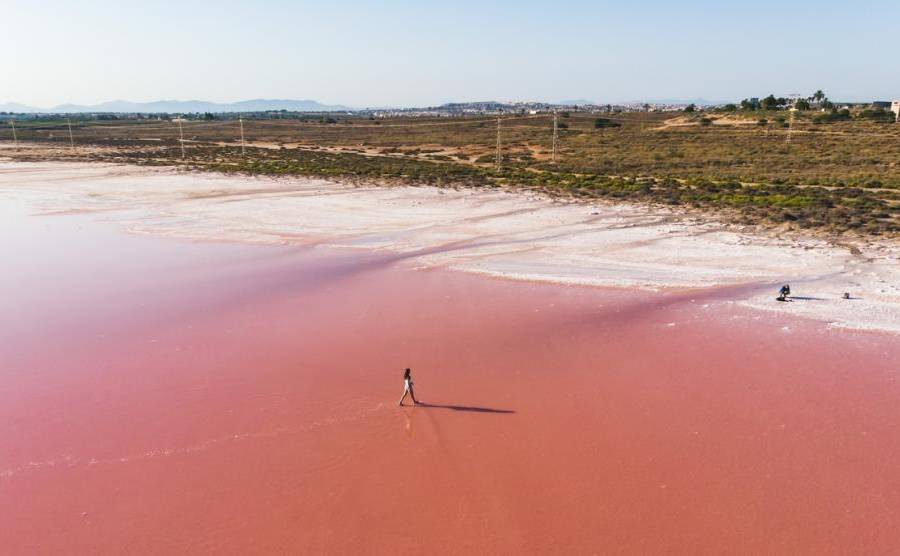 Försäljning - Lägenhet på bottenvåni - Centro - Torrevieja