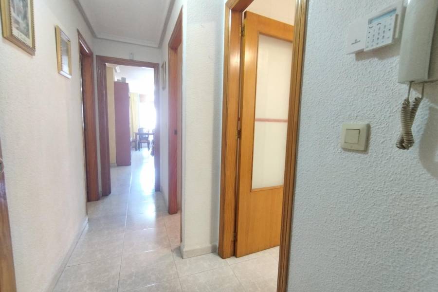 Vente - Appartement - Centro - Torrevieja