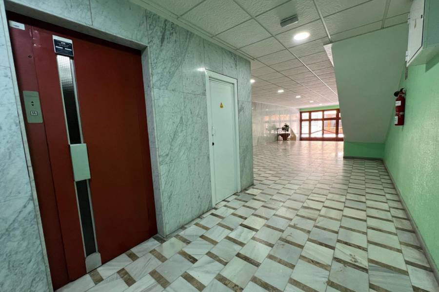 Venta - Apartamento - El Acequión - Los Náufragos - Torrevieja