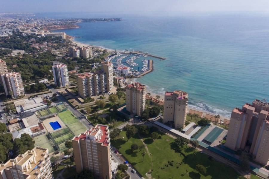 Venta - Apartamento - Campoamor - Orihuela Costa