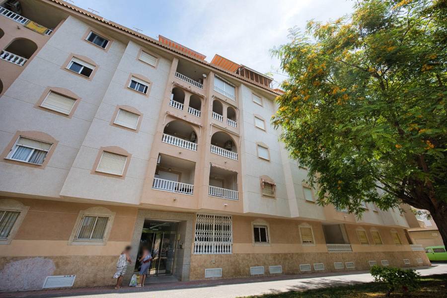 Salg - Leilighet - Acequion - Torrevieja