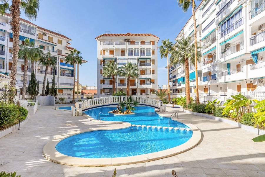 Sale - Penthouse - Los Europeos - Torrevieja