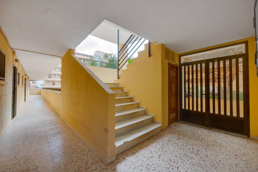 Sale - Apartment - Cabo cervera - Torrevieja