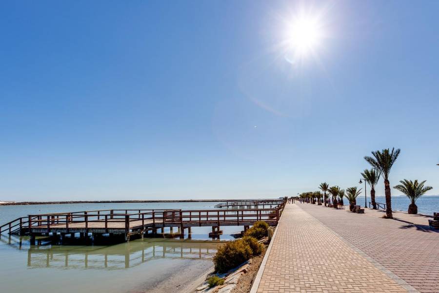 Vente - Villa - PILAR DE LA HORADADA - Pilar de la Horadada