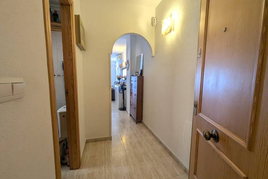 Verkauf - Apartment - Centro - Torrevieja