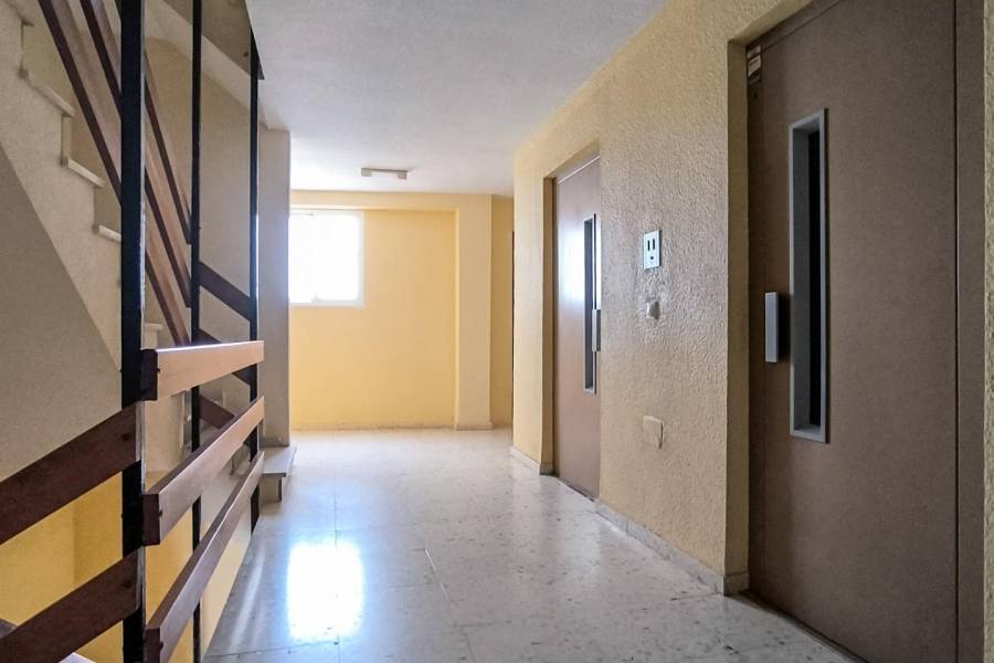 Venta - Piso - Playa de los Naufragos - Torrevieja