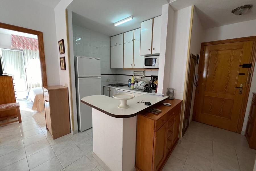 Verkauf - Apartment - Playa de los Naufragos - Torrevieja