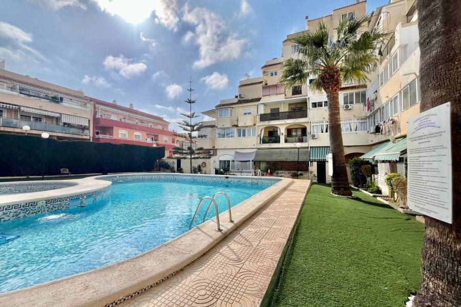 Sale - Studio - Nueva Torrevieja - Torrevieja