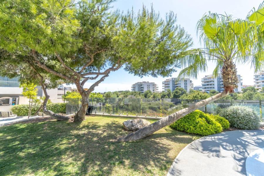 Salg - Penthouse leilighet - Los Dolses - Orihuela Costa