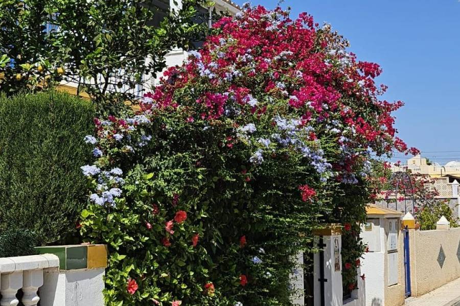 Venta - Planta baja - Zeniamar-Horizonte-La Campana - Orihuela Costa