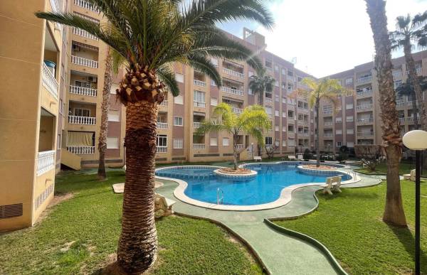 Apartment - Verkauf - Centro - Torrevieja