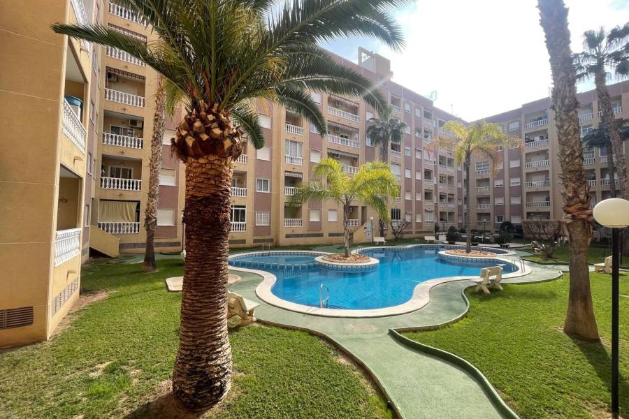 Verkauf - Apartment - Centro - Torrevieja