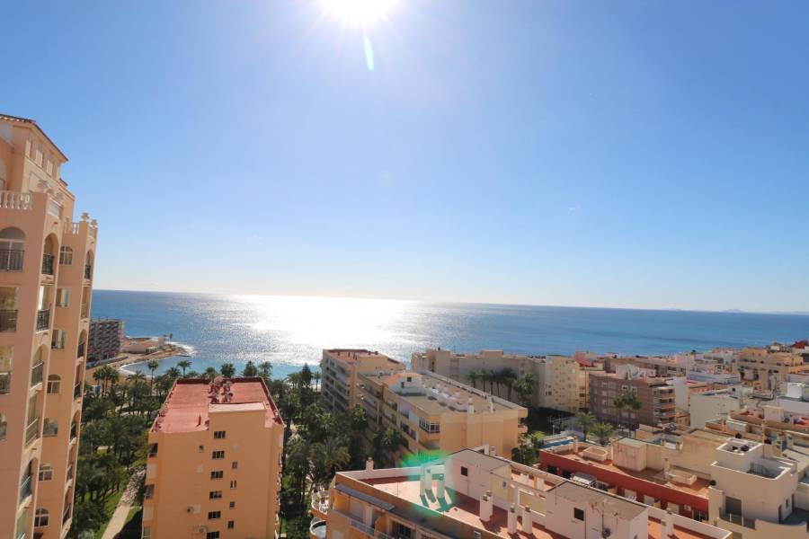 Venta - Apartamento - Los Frutales - Torrevieja