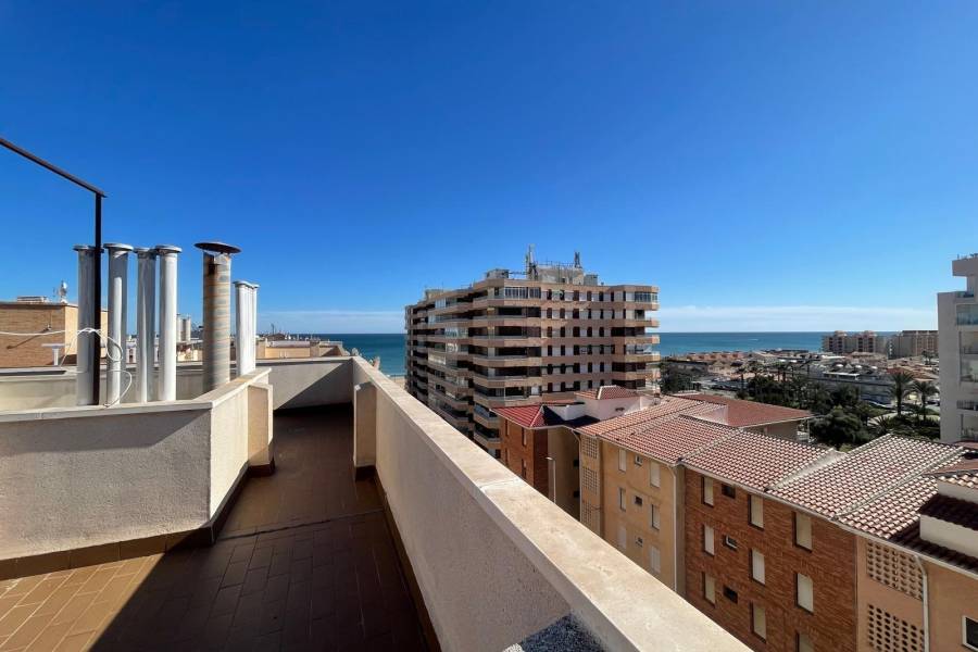 Försäljning - Lägenhet - La Mata - Torrevieja