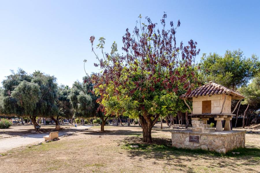 Verkauf - Penthousewohnung - Centro - Torrevieja