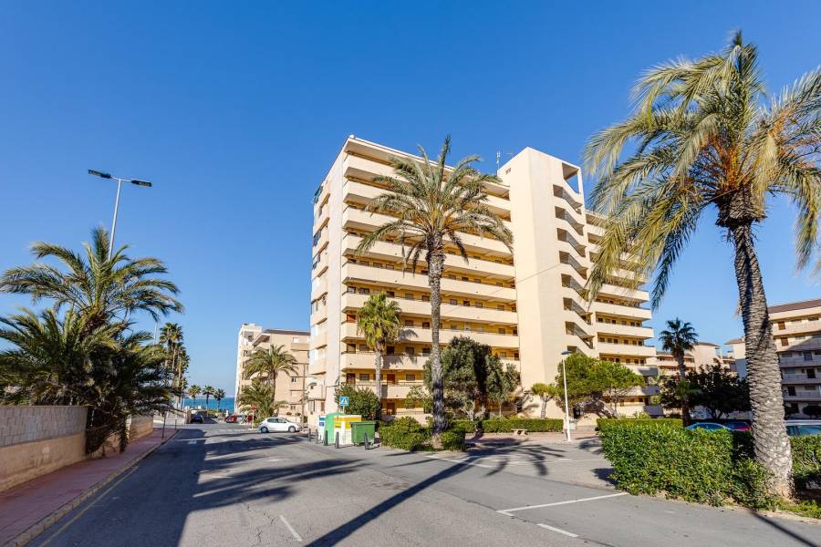 Sale - Apartment - Cabo cervera - Torrevieja