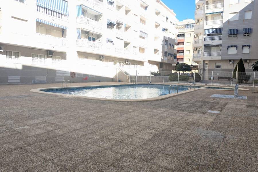 Salg - Studioleilighet - Centro - Torrevieja