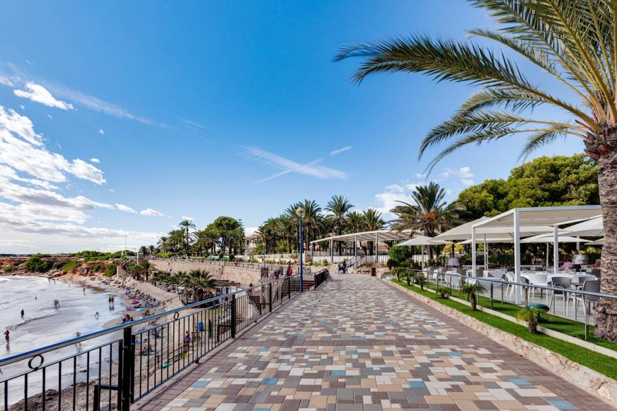 Venta - Chalet - Los balcones - Torrevieja
