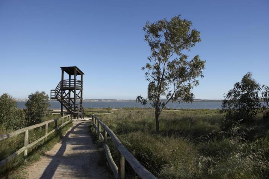 Försäljning - Nedervåning Bungalow - Aguas Nuevas - Torrevieja