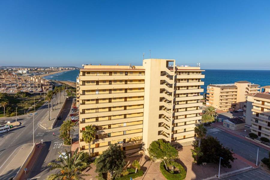 Sale - Apartment - Cabo cervera - Torrevieja