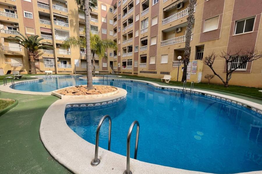 Verkauf - Apartment - Centro - Torrevieja