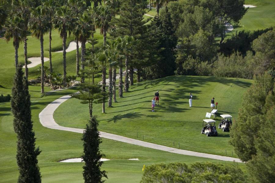 Försäljning - Takvåning - Lomas de Campoamor-Las Ramblas - Orihuela Costa