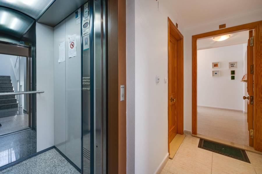 Salg - Penthouse leilighet - Habaneras - Torrevieja