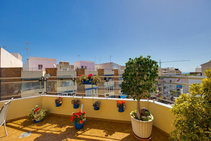 Sale - Penthouse - Centro - Torrevieja
