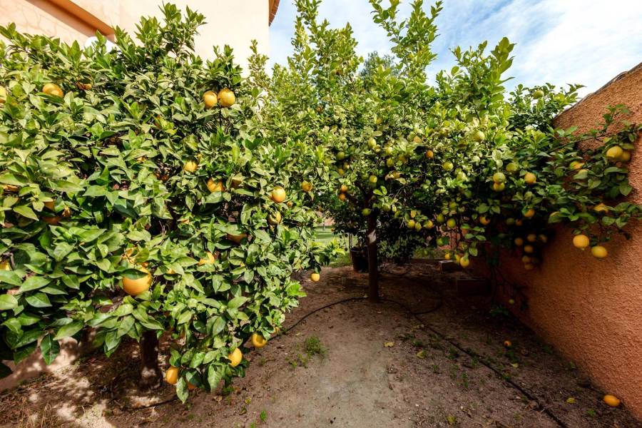 Venta - Villa de Lujo - San luis - Torrevieja