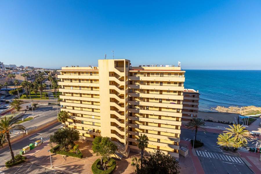 Sale - Apartment - Cabo cervera - Torrevieja