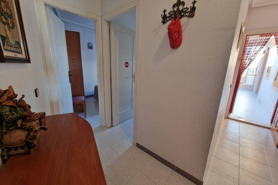 Venta - Apartamento - torrevieja - Torrevieja