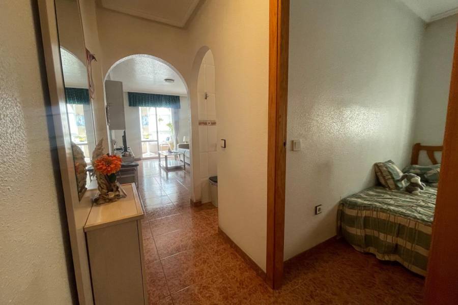 Vente - Appartement - Parque las naciones - Torrevieja