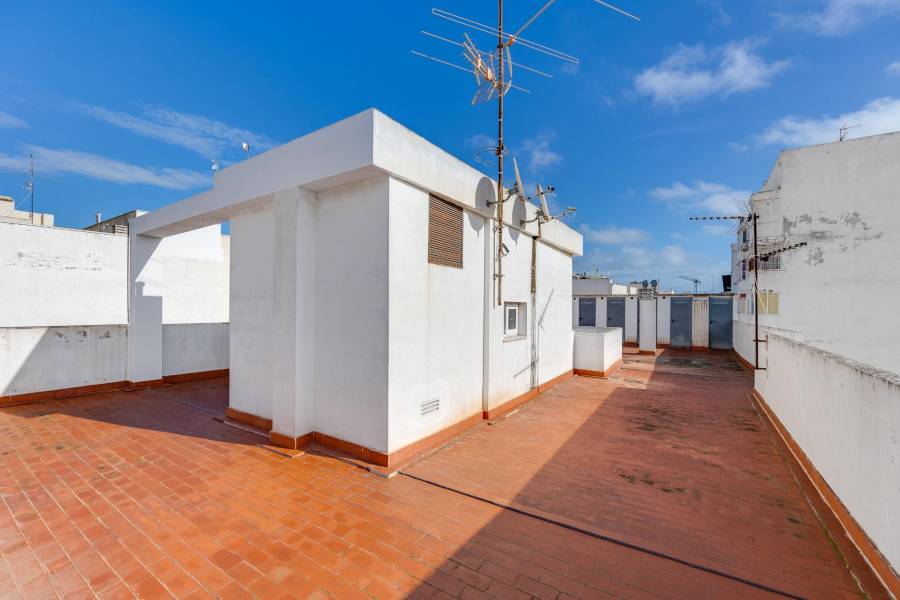 Salg - Penthouse leilighet - Paseo maritimo - Torrevieja