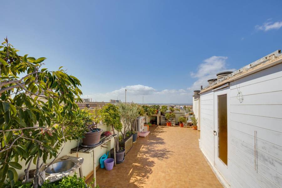 Sale - Penthouse - Centro - Torrevieja