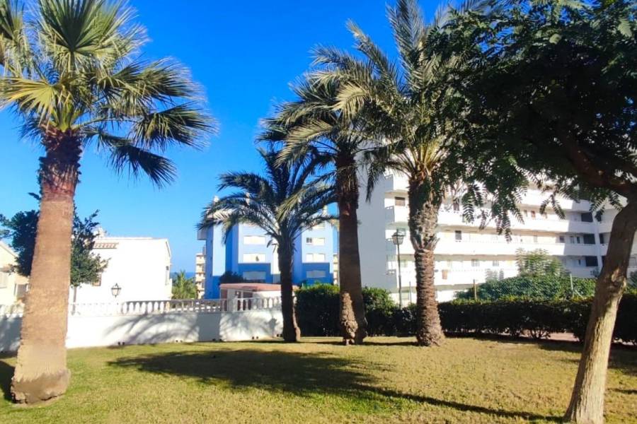 Venta - Estudio - La Mata - Torrevieja