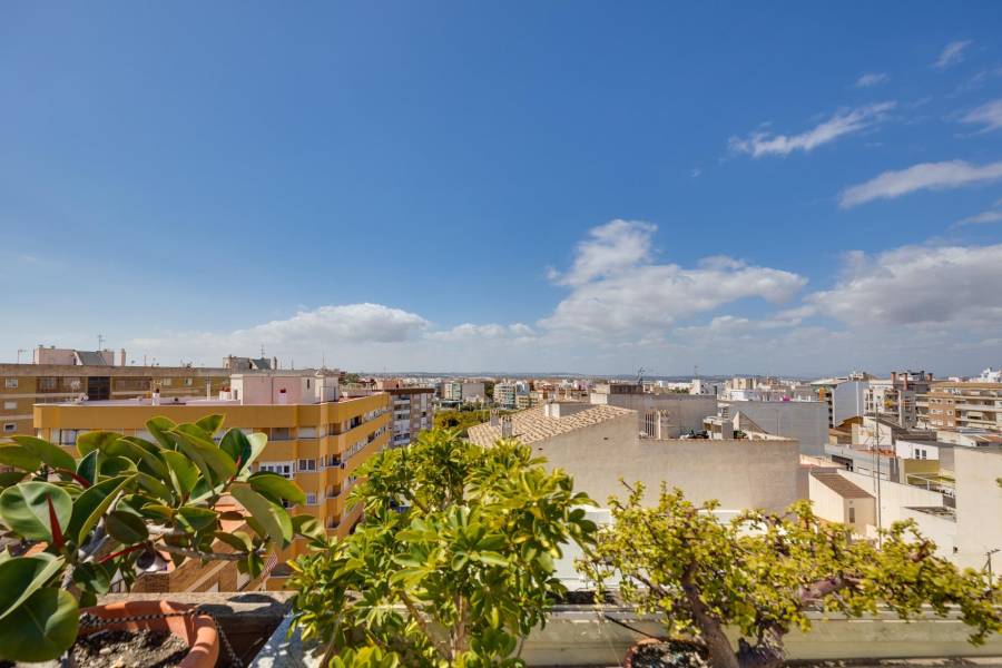 Sale - Penthouse - Centro - Torrevieja