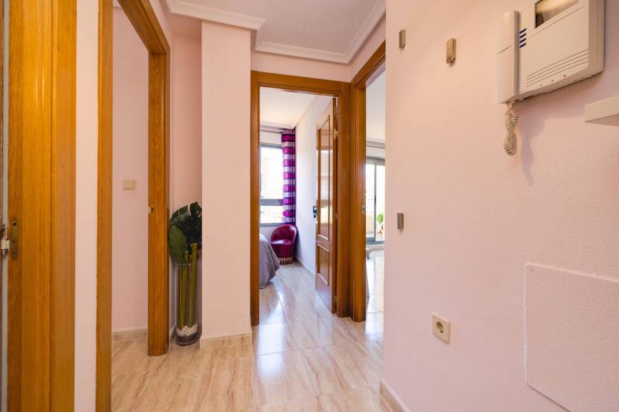 Sale - Penthouse - Centro - Torrevieja