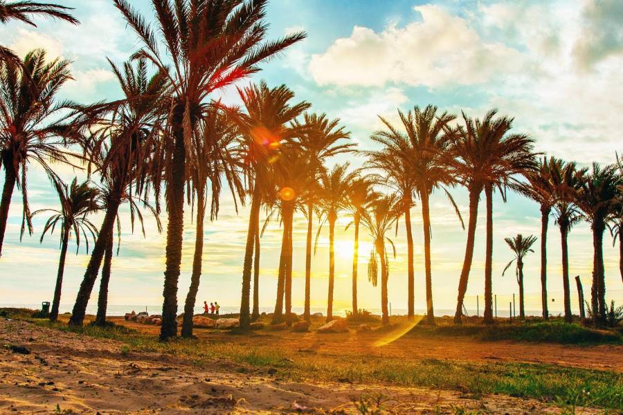 Venta - Chalet - Los balcones - Torrevieja
