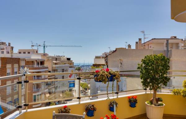 Penthouse - Sale - Centro - Torrevieja