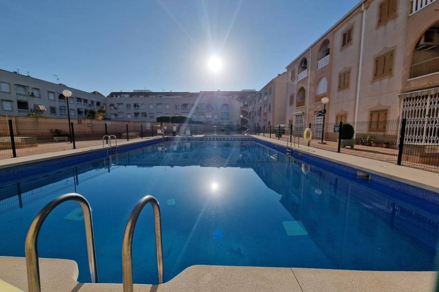 Venta - Apartamento - torrevieja - Torrevieja