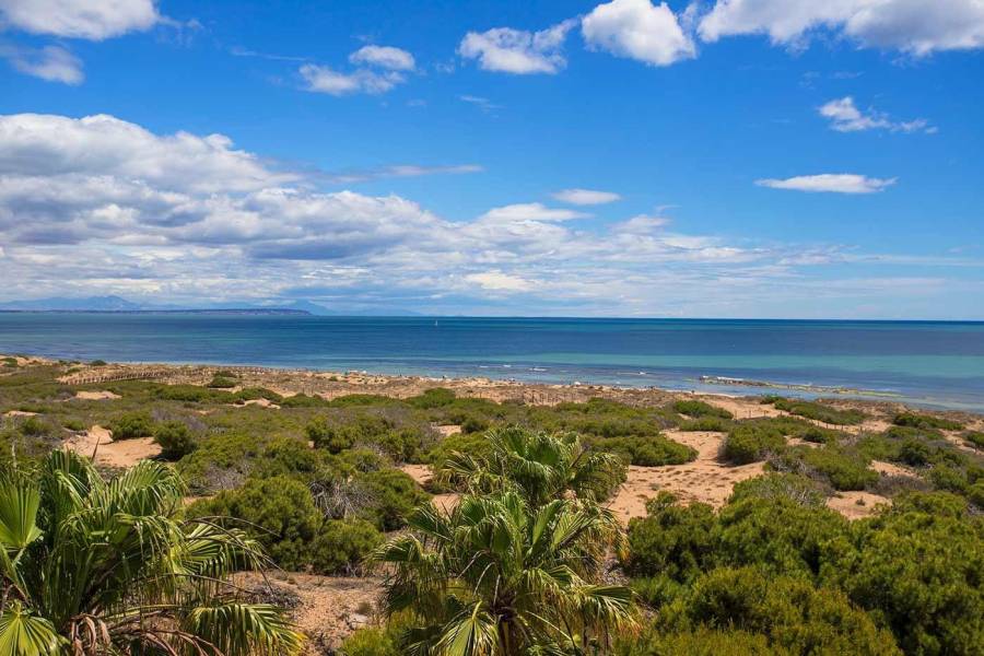 Försäljning - Studiolägenhet - La Mata - Torrevieja