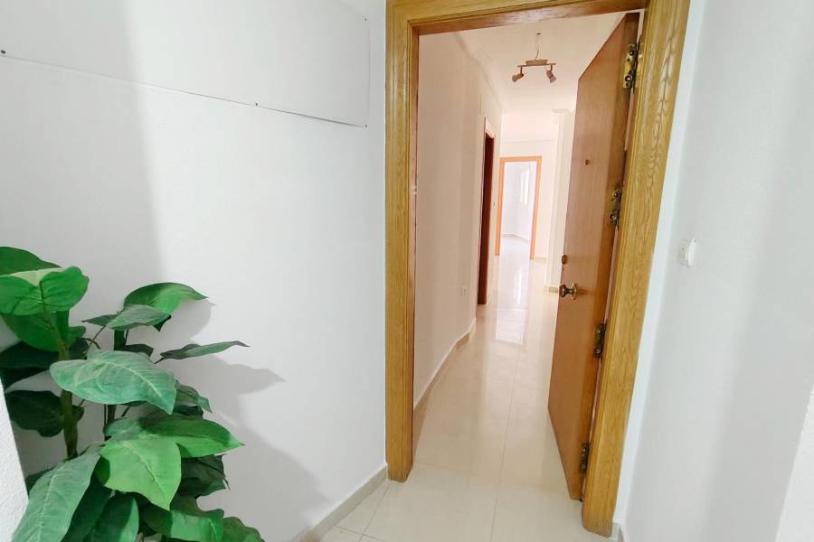 Verkauf - Apartment - Paseo maritimo - Torrevieja