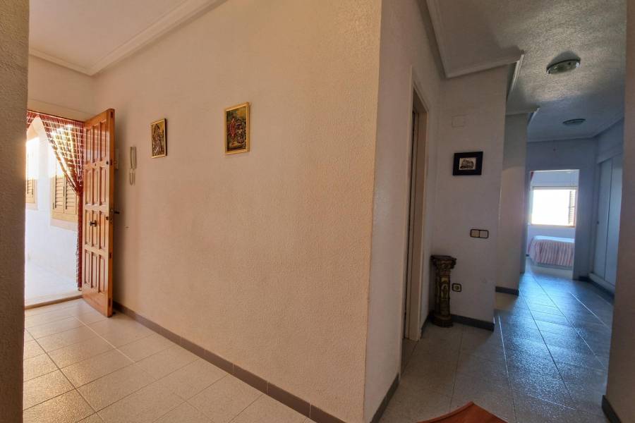 Venta - Apartamento - torrevieja - Torrevieja